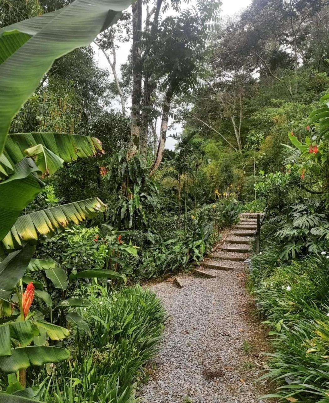 El Toucanet Lodge Copey Exterior foto